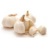 Buy cheap Goodfarmer food holding (group) Co. Ltd — China Garlic Price from wholesalers