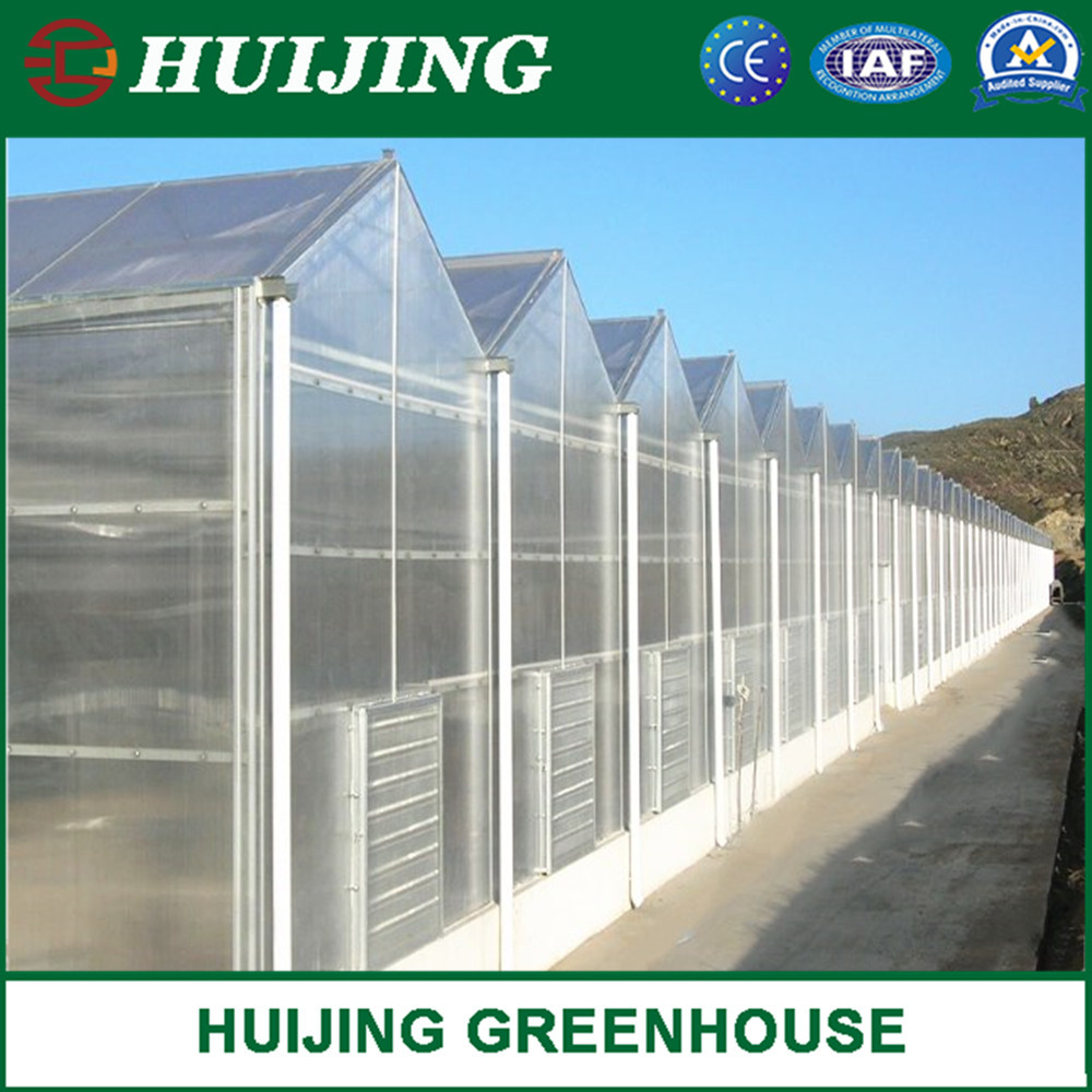 China Agriculture Multi Span PC Sheet Green House/Grow Tent/Greenhouse for Sale on sale