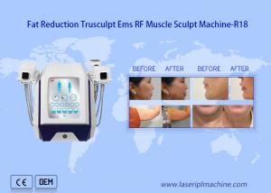 China 2mhz Rf Beauty Equipment Cellulite Reduction Muscle Building on sale