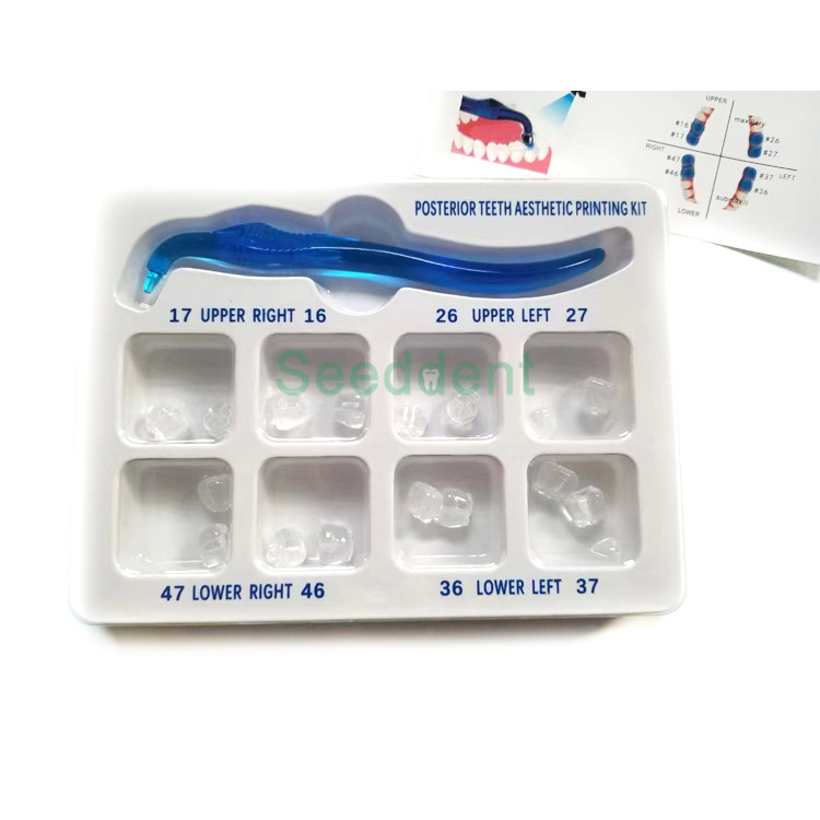 Best Dental Posterior Teeth Aesthetic Printing Kit Tooth Restoration Filling Oral Therapy Tools wholesale