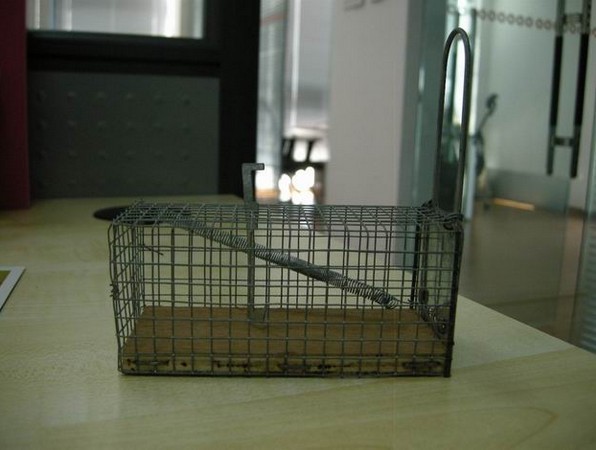 Cheap Wooden Base Mouse Trap EH09 for sale