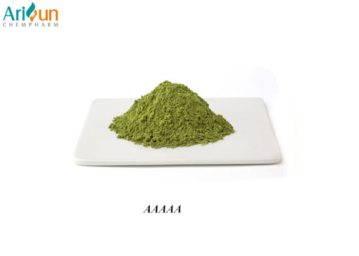 China Seaweed Fragrance Matcha Green Tea Powder High Chlorophyll Content Kosher Certification on sale