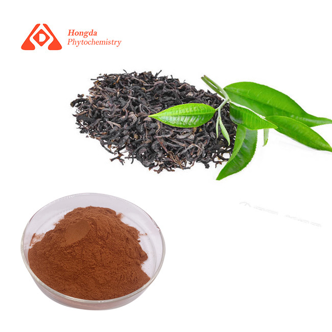 China 95%TP 98%TP Green Tea Extract Powder , Camellia Sinensis Leaf Powder on sale