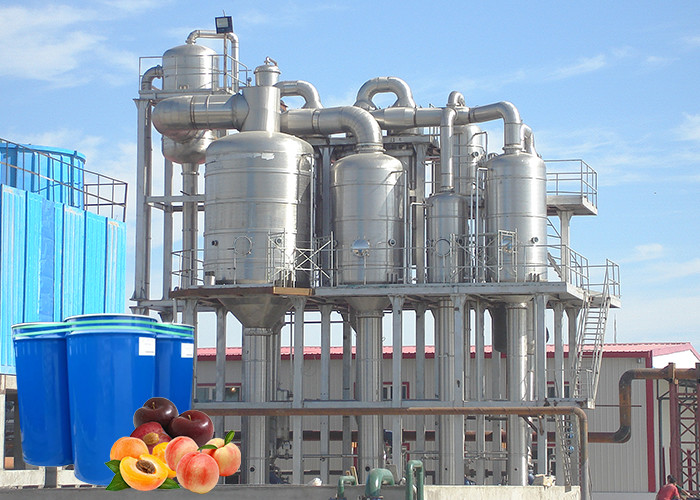 Best Commercial Peach Processing Plant Apricot Puree Plum Jam Production Line wholesale