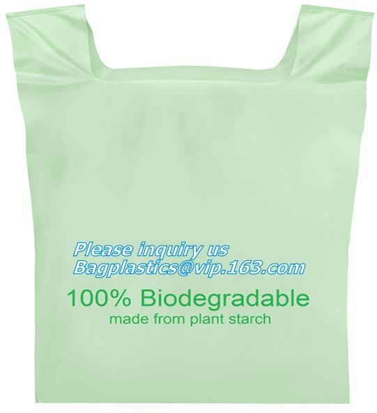 Fruit And Vegetable Bag Degraded One Year On Composting Condition, PLA, Compostable Plastic Bag, Flat Bag