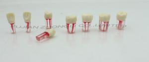 China Cheap Endodontic  Teeth  Root Canal Treatment S12 on sale