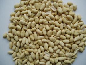 Best Blanched peanuts wholesale