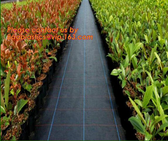 100% pp cover fabric weed control mat weed barrier Anti weed mat,Supply heavy duty 100% virgin anti grass weed barrier/g