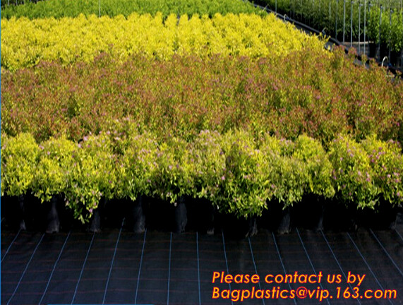 Agricultural plastic ground cover weed mat, pp weed control mat, for greenhouse and outer use,ground cover, weed mat, ma