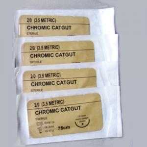 Best Chromic Catgut 12pcs/box wholesale