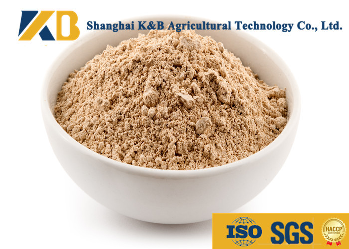 China Pure Brown Rice Protein Products / Rice Based Protein Powder For Animal Feed on sale