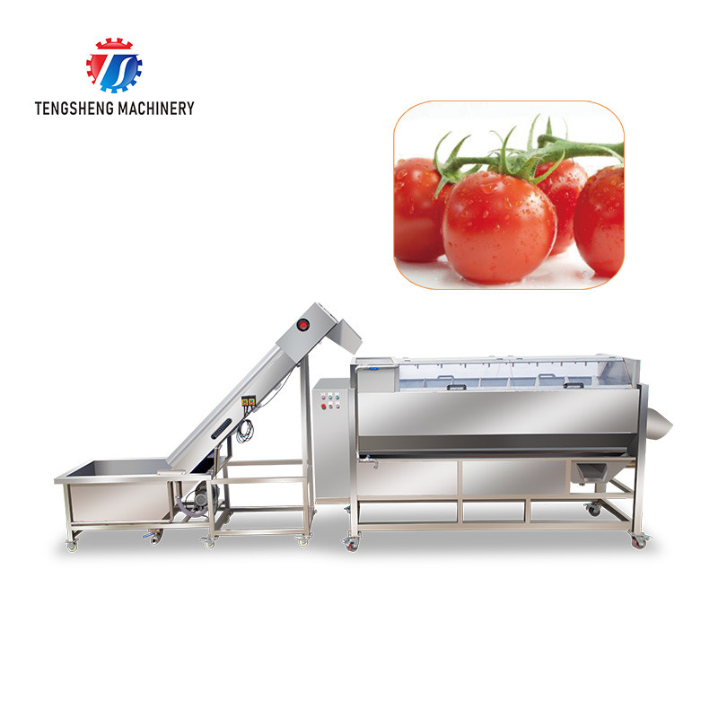Multifunctional Fruit And Vegetable Processing Line Hoisting Machine