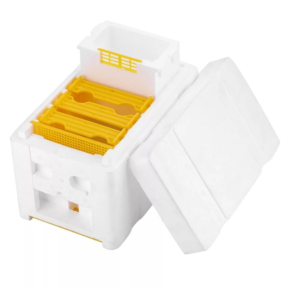 China Single Layer Foam Bee Hive Equipment Mating Breeding Box Beekeeping Queen Rearing on sale
