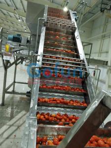 Best 25T/H Tomato Ketchup Production Line Food Grade Aseptic Filling wholesale