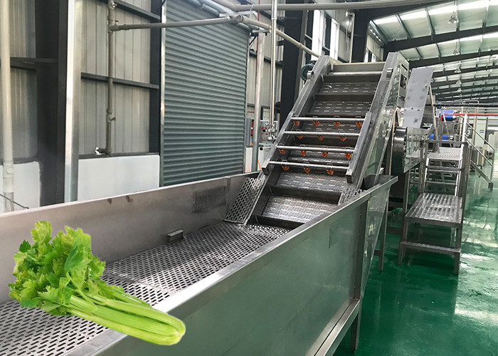 Best Stable Celery Food Processing Equipment Carrot Processing Line Food Grade ISO9001 wholesale