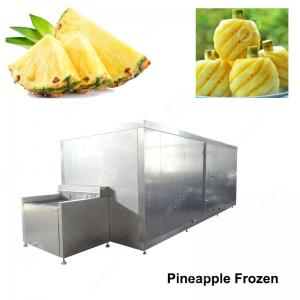 China Stainless Steel High Quilty Pineapple Frozen Machinery/Freezer Machine Price In India on sale