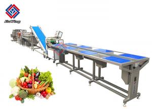 China SUS 304 SS Material Frozen Vegetable Production Line For Food Distribute Center on sale