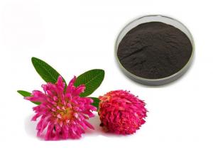 China Purity 2.5% 8% 20% 40% Isoflavones Red Clover Extract Powder on sale