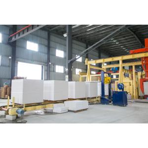 Best Brick-Making Machine Cheap Brick-Making Machinery - Siemens PLC Control Tray Station AAC Plant Machinery wholesale