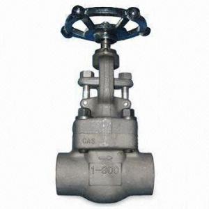 Best Forged Steel Globe Valve with 150 to 2,500Lb Rating wholesale