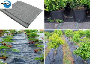China Heavy Duty Weed Control Fabric Membrane Garden Ground Cover Mat Landscape Sheet on sale
