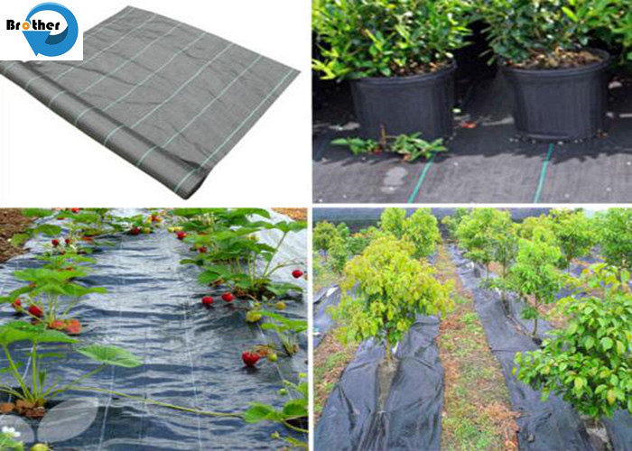 Cheap Heavy Duty Weed Control Fabric Membrane Garden Ground Cover Mat Landscape Sheet for sale