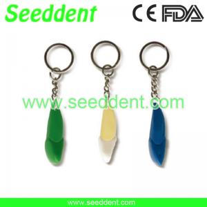Best Middle incisor tooth key chain wholesale