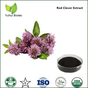 China red clover extract,natural red clover extract,clover extract,red clover extract powder on sale
