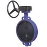 Buy cheap Rubber Lined Wafer Type Butterfly Valve (D71X/D71F) from wholesalers