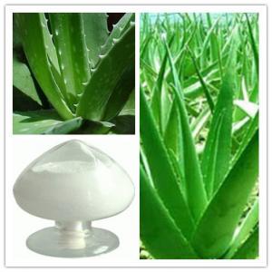 China Aloe vera whole leaf freeze dried powder, Aloe vera gel freeze dried powder on sale