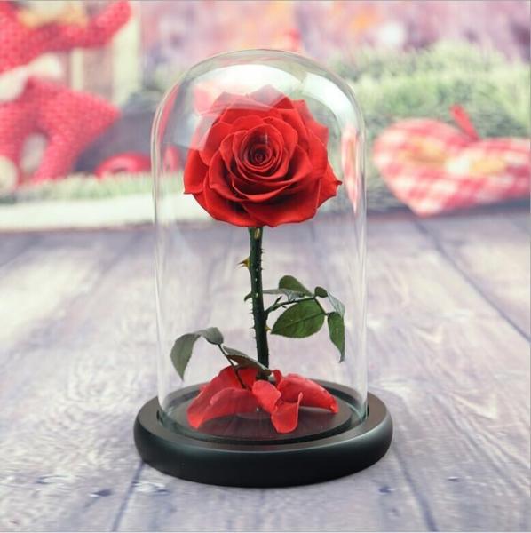Cheap beauty and the beast roses preserved roses in glass dome rose for lover's gift for sale