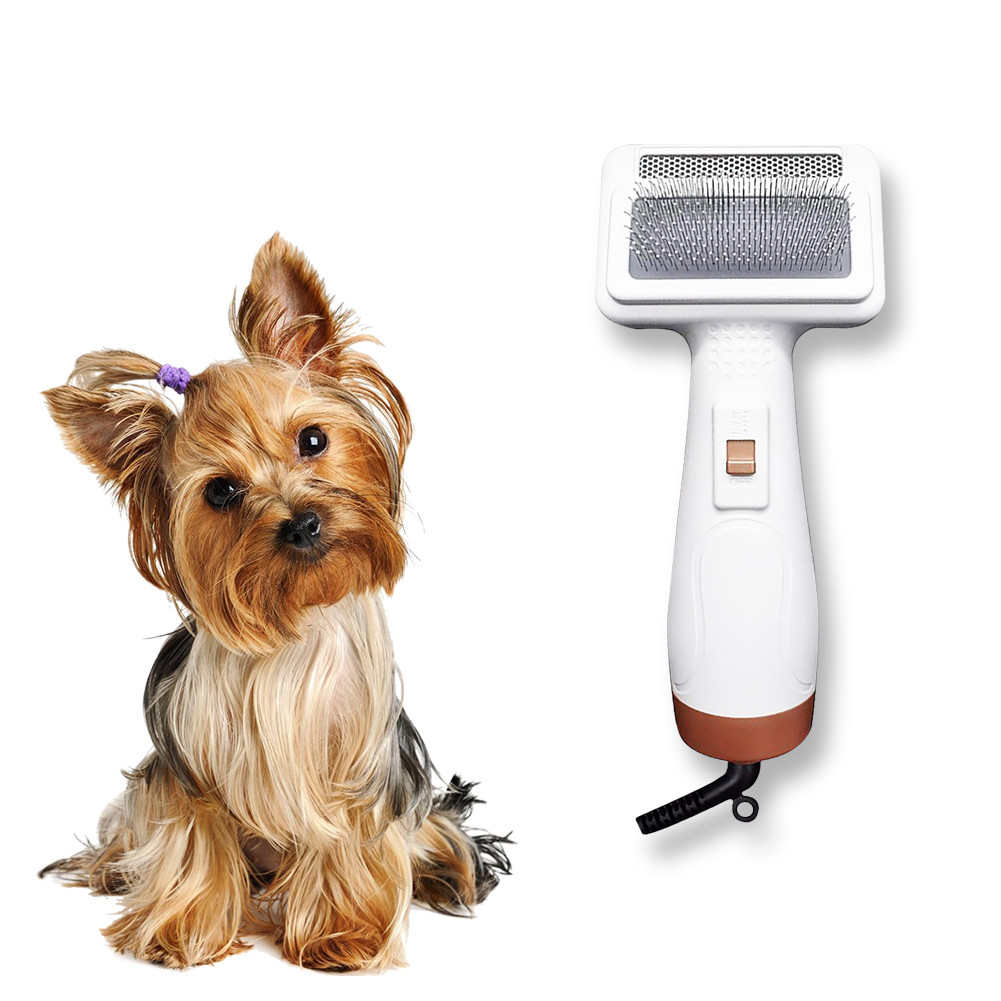China Sustainable 300W 2 In 1 Pet Hair Dryer Dog Brush Hair Dryer Reusable on sale