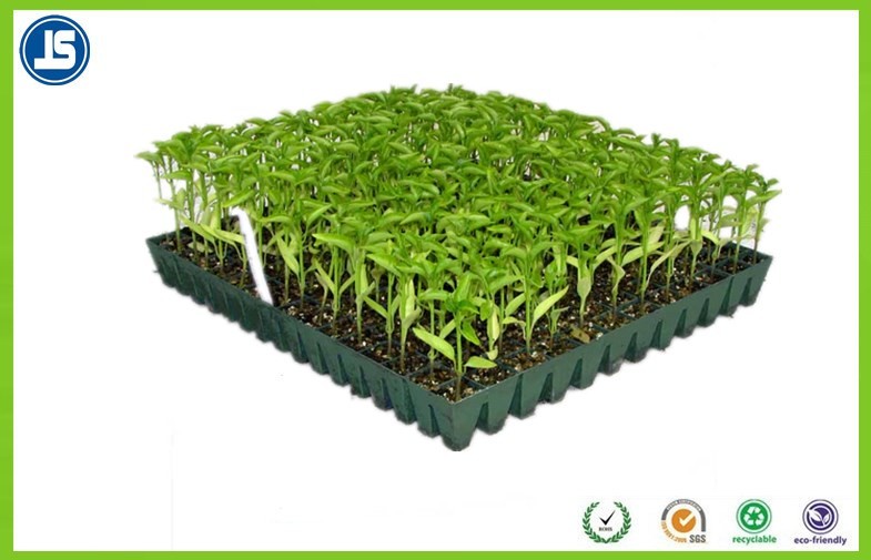 Black Plastic Seed Tray Blister Packaging Tray For Vegetable Cultivation