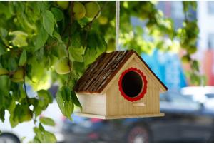Best Fortune Paulownia Wooden Bird Nesting Box Wooden Crafts Supplies wholesale