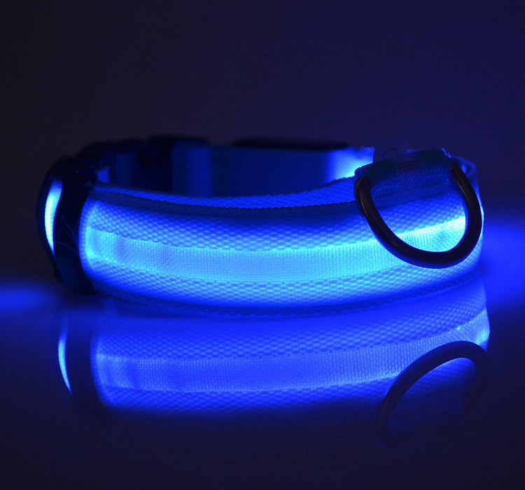 China Free Shipping led dog collar light factory wholesale led lights for dog collars on sale