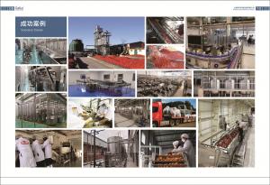 China SS304 Complete Tomato Processing Line 1500T/D Easy Operation on sale