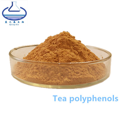 China Tea Polyphenols Green Tea Extract Powder Food Grade Leaf Part Extract on sale