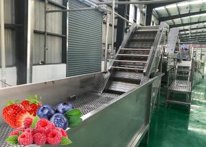 Best Stable Performance Dried Fruit Chips Making Machine Low Temperature Vacuum Evaporation wholesale