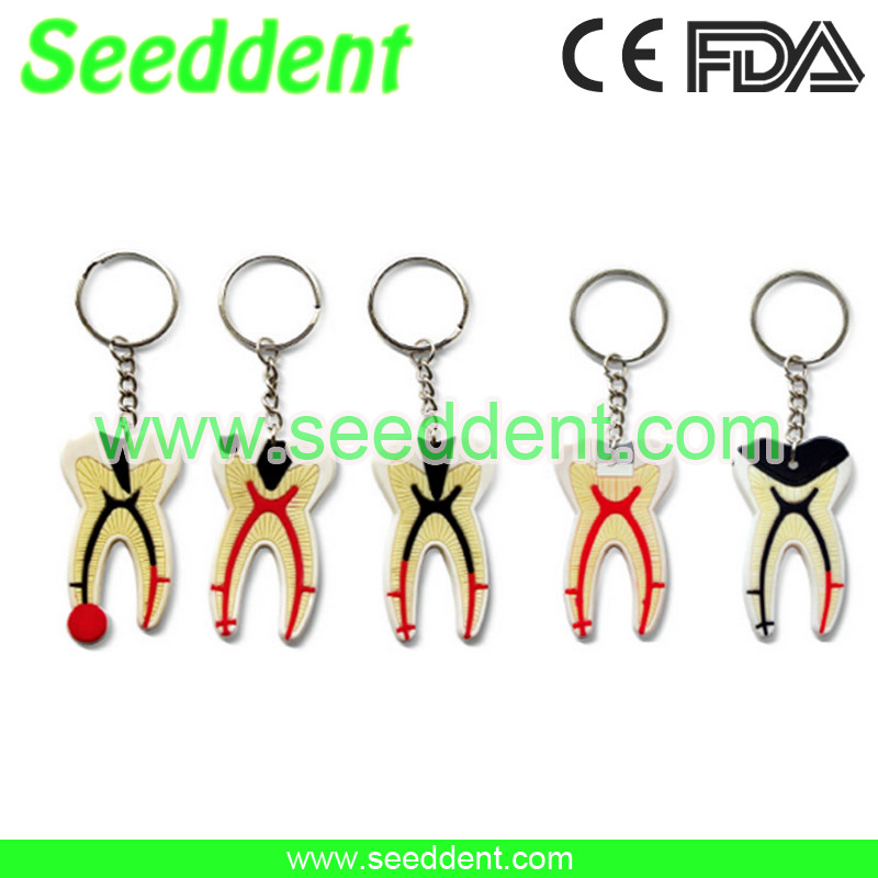 Best Plastic tooth key chain wholesale