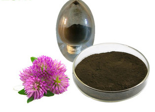 China Red Clover Extract on sale