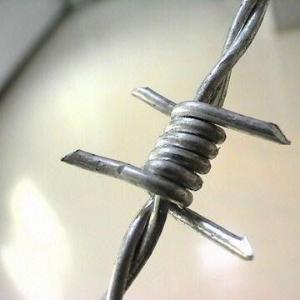Best BWG 12*14 Galvanized Barbed Wire wholesale