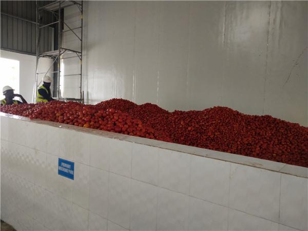 Cheap SGS Tomato Processing Line 2000T/D Concentrating Ketchup Processing Line for sale