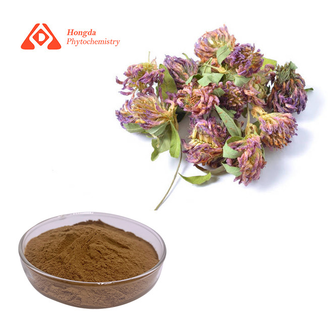 China Red Clover Extract Red Clover P.E. Trifolium Pratense Extract 2%-45% Isoflavones on sale