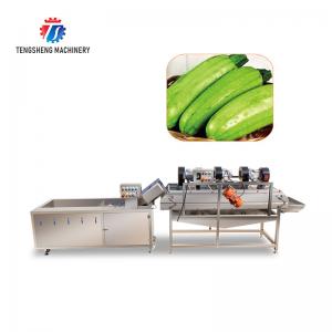Vegetables and Fruits Bubble Cleaning Vibration Air Drying Machine Production Line
