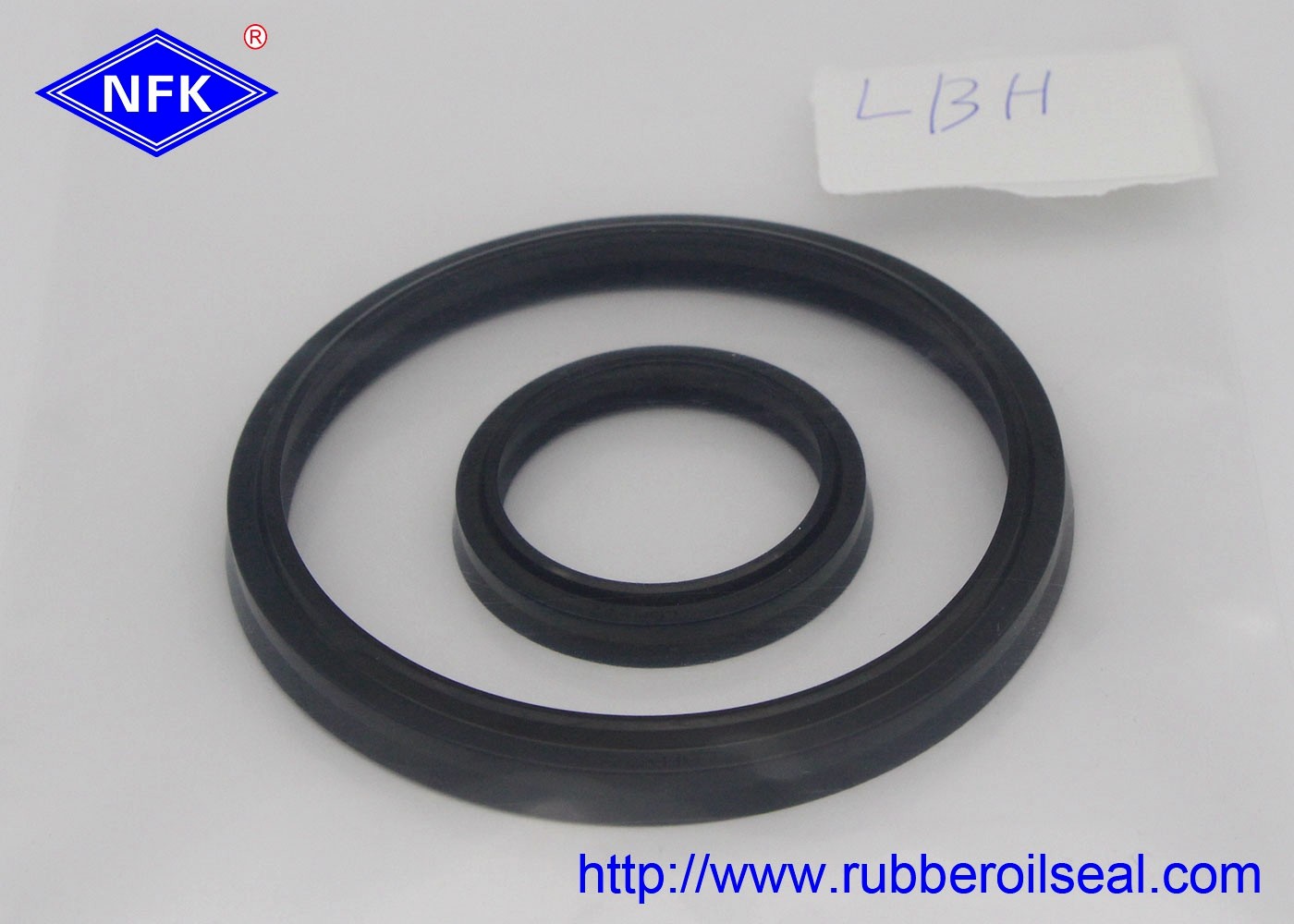 China Cylinder Rod Rubber Dust Seal DSI LBI LBH VAY DH Different Type High Temp Resistant on sale