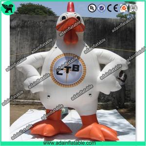 Best Event Inflatable Rooster,Inflatable Rooster Cartoon,Inflatable Rooster Costume wholesale