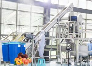 Best Professional Peach Processing Plant Plum Concentration Processing Line wholesale