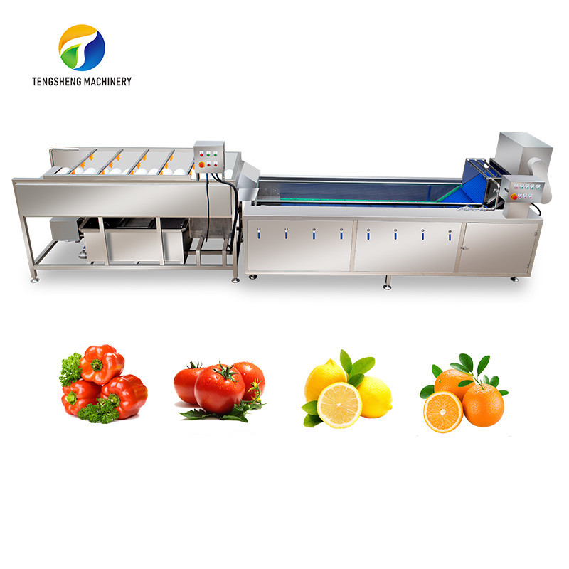 China SS 380V Industrial Vegetable And Fruit Washing Machine on sale