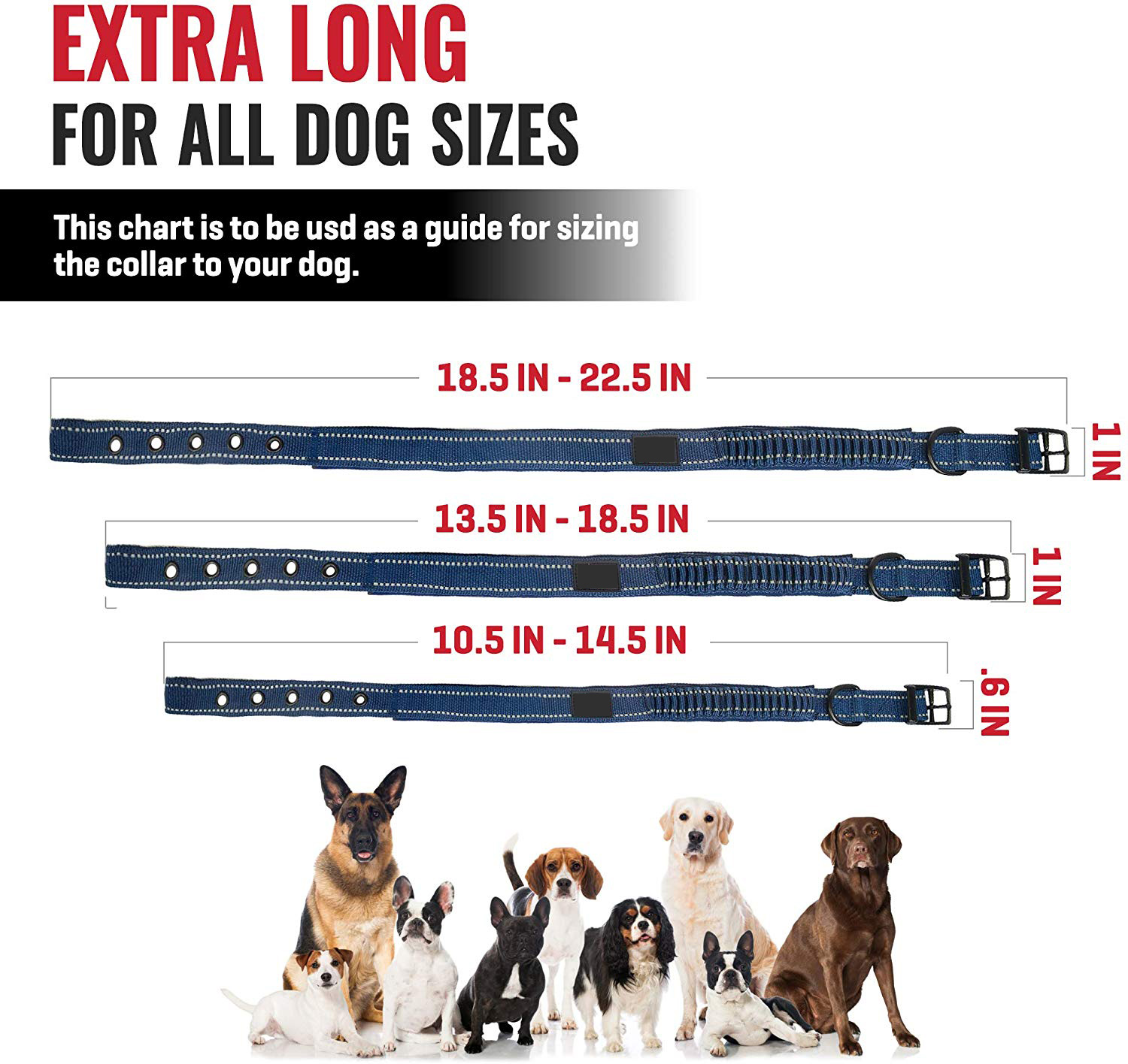 Padded Reflective Soft Nylon Dog Collar With Adjustable Stainless Steel Hardware
