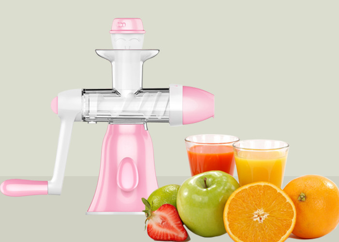 Cheap Portable Low Speed Manual Fruit Juice Extractor Pure Fruit Ice Cream Making Machine for sale